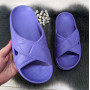 Шльопанці жіночі сланці пінкові фіолетові (вістерія) Dago Style 4364